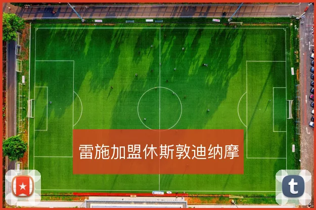 雷施加盟休斯敦迪纳摩