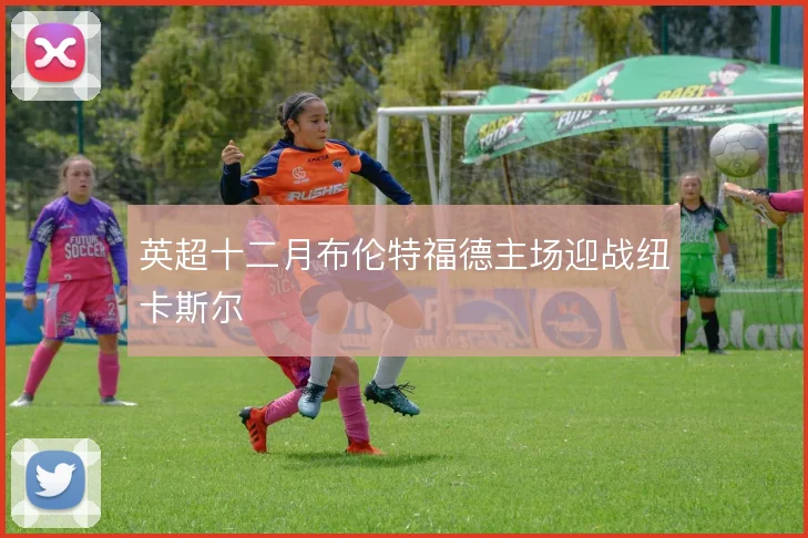 英超十二月布伦特福德主场迎战纽卡斯尔